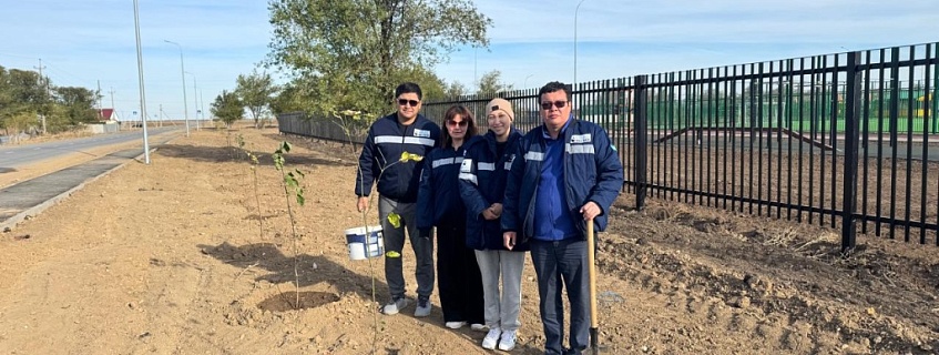 Достық ауылында ағаш отырғызу шарасы өтті